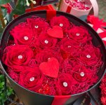 Flower box di sole rose rosse